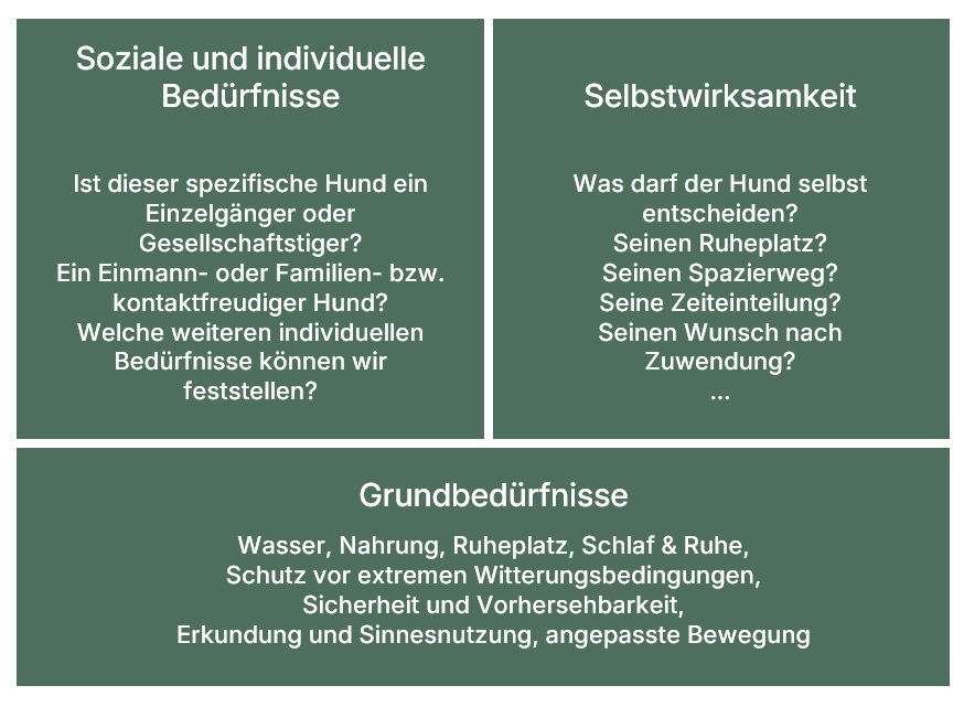 Unterteilung der Bedürfnisse des Hundes in drei Sektionen (c) Hundepfote aufs Herz