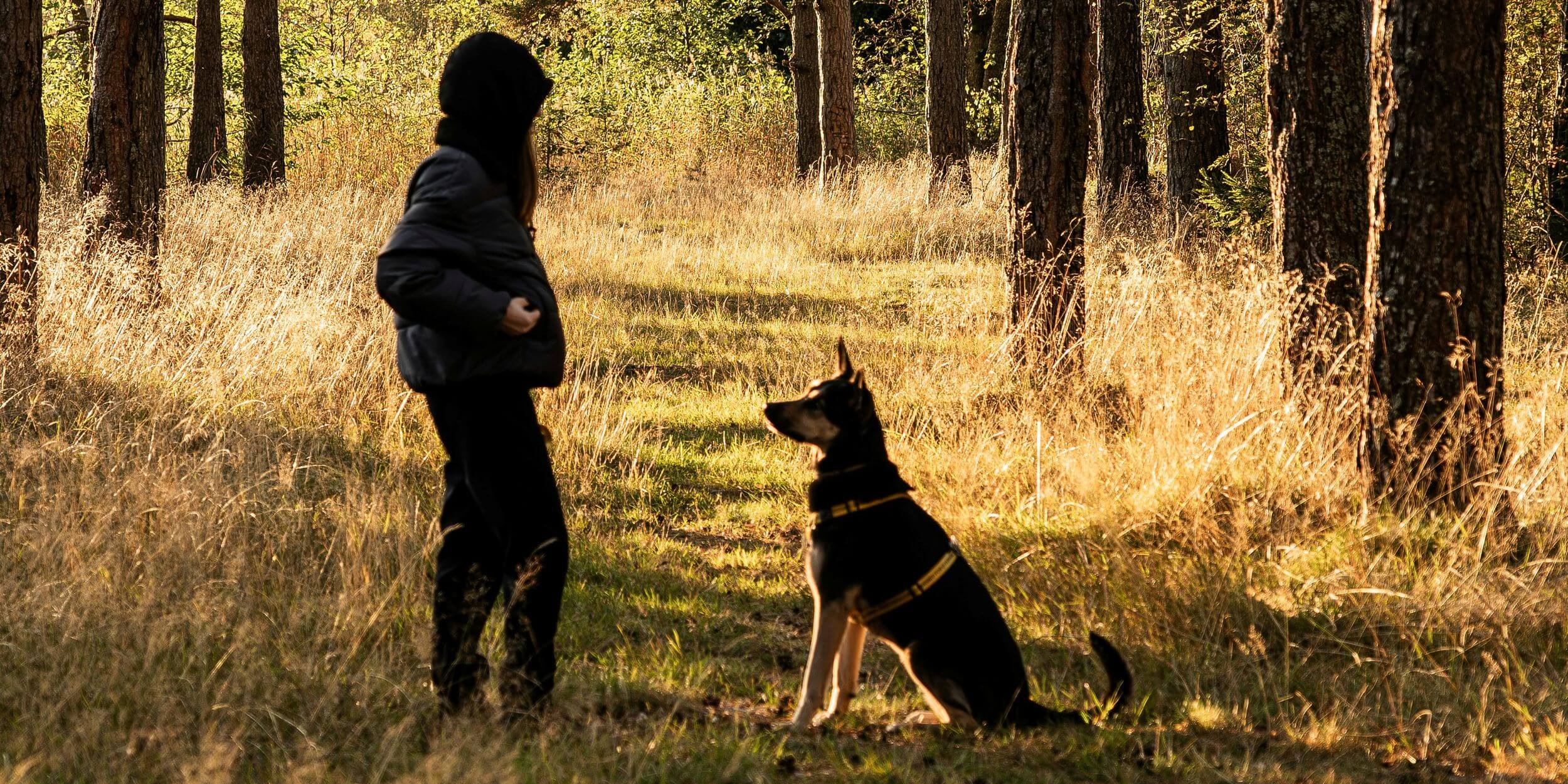 Frau mit Mütze in einem herbstlichen Wald bei Sonnenschein, vor ihr ein Hund in Sitzposition, den Blick auf die Hundehalterin gerichtet (c) Foto Eduard Galitsky, Unsplash
